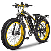 Electric Bike for Adults