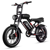 Electric Bike for Adults