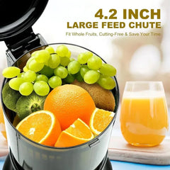 Cold Press Juicer
