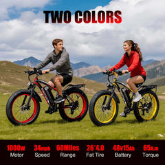 Electric Bike for Adults