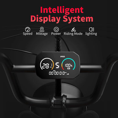 V9-G60 Adults Electric Bike 1000W Motor Bicycle 48V 20AH 20“ Tire Ebike Electric E Bikes Mountain Moped Ebikes for Men