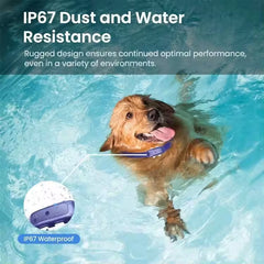 Wifi Dog Fence Electric Collar Wireless IP67 Waterproof Real-Time Accurate Positioning Pet GPS Location Tracking Device