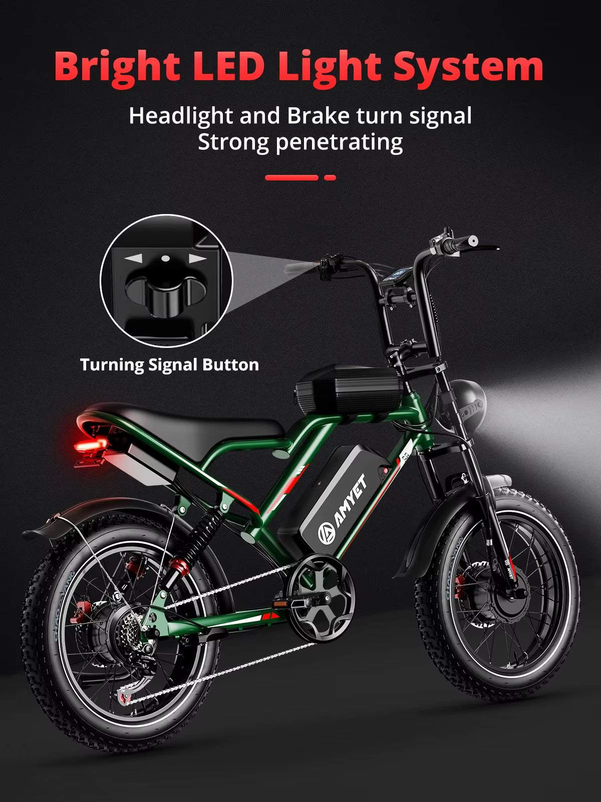 Electric Bike for Adults