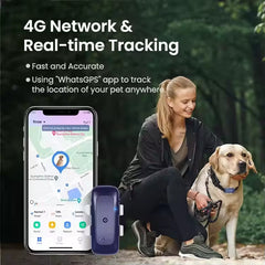 Wifi Dog Fence Electric Collar Wireless IP67 Waterproof Real-Time Accurate Positioning Pet GPS Location Tracking Device