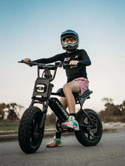 M16 Ebikes