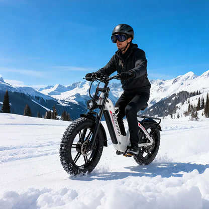 SYR08 City Commuting E-Bike,Dual Motor 2000W,20X4.0 Integrated Wheel,48V20Ah,Speed 50+, Snow/Sand Outdoor Cycling