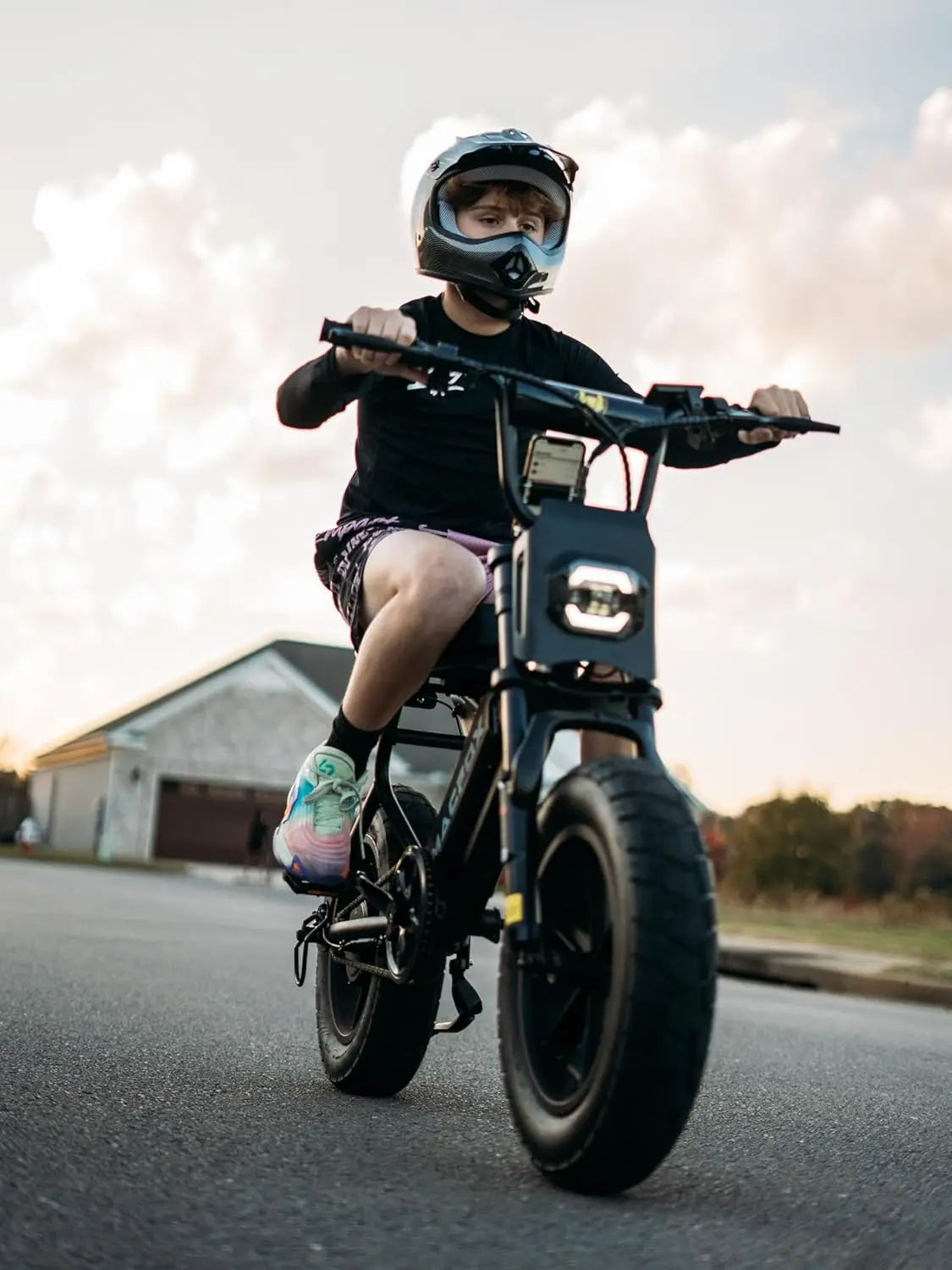 M16 Ebikes for Teen Youths, Mini E Bike 750W Electric Bike Wheelie 20 MPH Max Speed, 25 Miles Range(Pas1), 16"X4", Customized