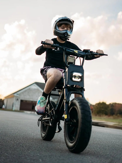 M16 Ebikes for Teen Youths, Mini E Bike 750W Electric Bike Wheelie 20 MPH Max Speed, 25 Miles Range(Pas1), 16"X4", Customized