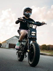 M16 Ebikes