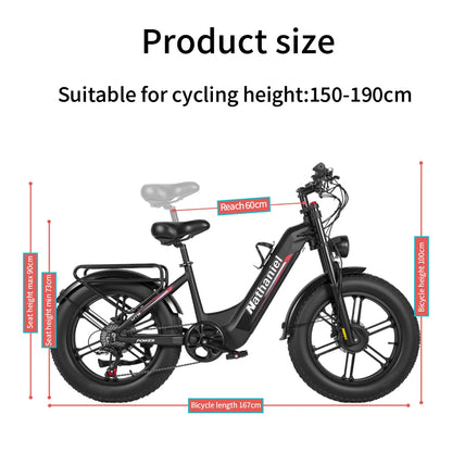 SYR08 City Commuting E-Bike,Dual Motor 2000W,20X4.0 Integrated Wheel,48V20Ah,Speed 50+, Snow/Sand Outdoor Cycling