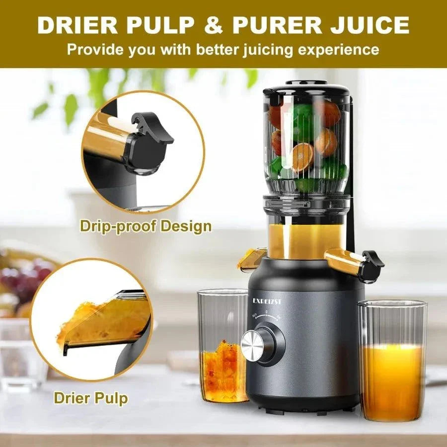 Cold Press Juicer