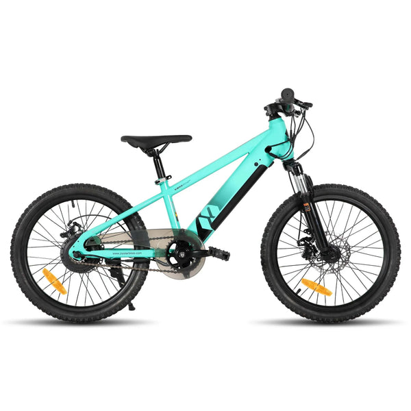 Electric Bike for Kids