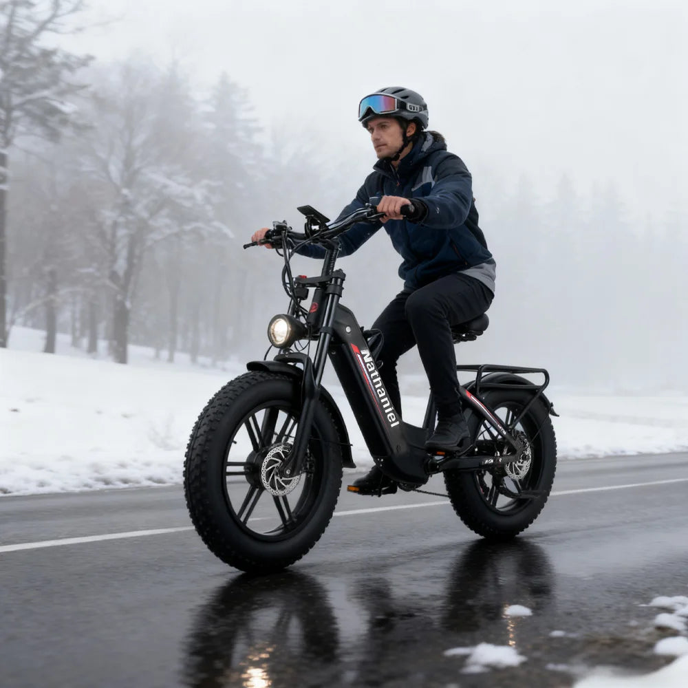 SYR08 City Commuting E-Bike,Dual Motor 2000W,20X4.0 Integrated Wheel,48V20Ah,Speed 50+, Snow/Sand Outdoor Cycling