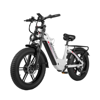 SYR08 City Commuting E-Bike,Dual Motor 2000W,20X4.0 Integrated Wheel,48V20Ah,Speed 50+, Snow/Sand Outdoor Cycling