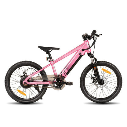 Electric Bike for Kids Teens Ages 7+ with 250W Motor, 15 Miles 15MPH Electric Mountain Bicycle Safe Mini E Bikes