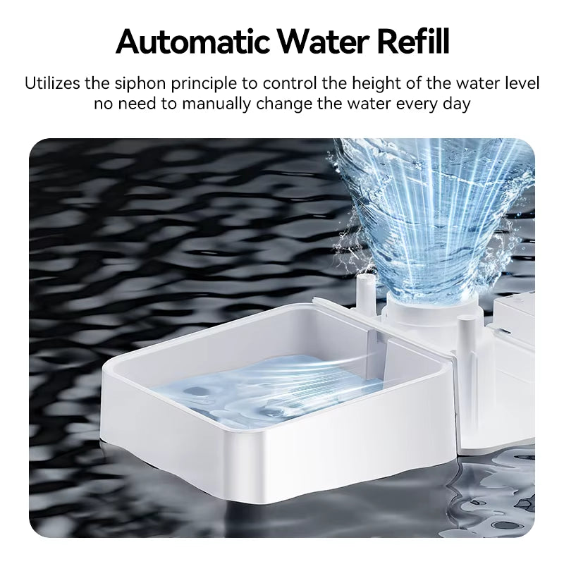 2In1 Automatic Pet Feeder Gravity Water Fountain 8.5L Button Version Auto Cat Kibble Dispenser with Water Refill Drinker
