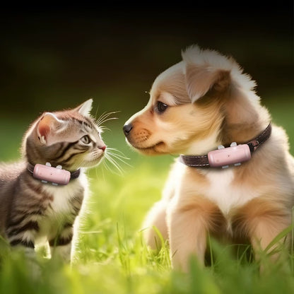 Wifi Dog Fence Electric Collar Wireless IP67 Waterproof Real-Time Accurate Positioning Pet GPS Location Tracking Device